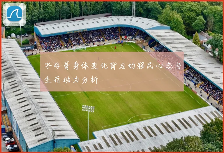 字母哥身体变化背后的移民心态与生存动力分析