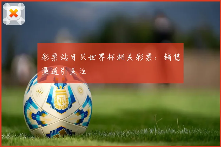彩票站可买世界杯相关彩票，销售渠道引关注