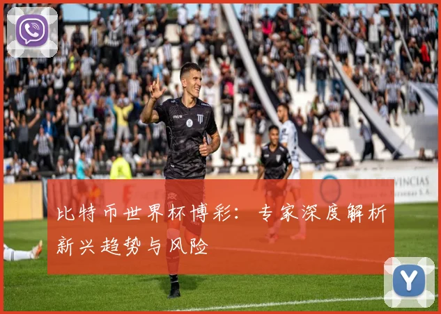 比特币世界杯博彩：专家深度解析新兴趋势与风险