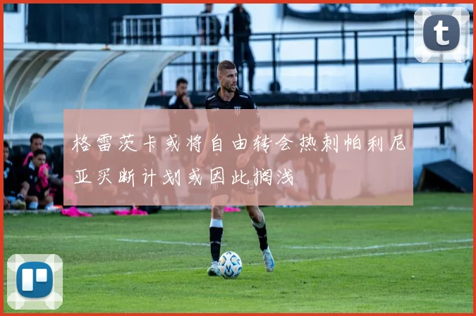 格雷茨卡或将自由转会热刺帕利尼亚买断计划或因此搁浅